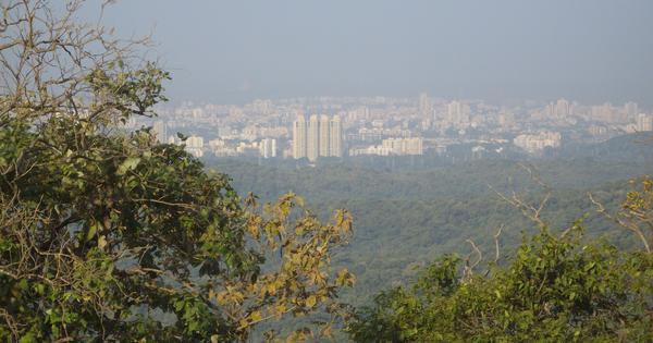 Mumbais last green lung could be carved up under new