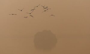 SC rejects plea seeking year round GRAP restrictions