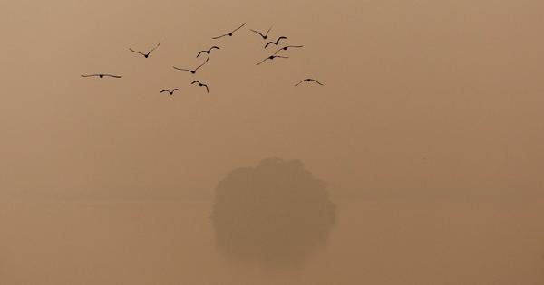 SC rejects plea seeking year round GRAP restrictions