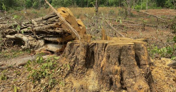 SC reverses its verdict that barred retrospective environmental clearance for