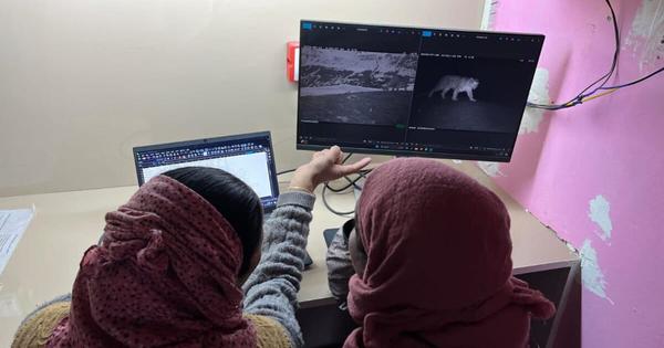 Snow leopard conservation efforts led by women