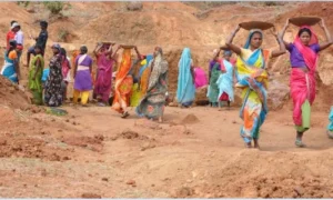 Sujit for web 20.webp