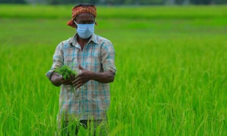 Telangana to hold local body polls in 3 phases notification