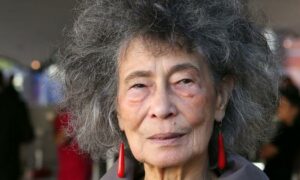 The South African writer who rediscovered the ordinary