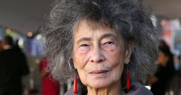 The South African writer who rediscovered the ordinary