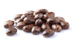 The lethal poison behind the headlines