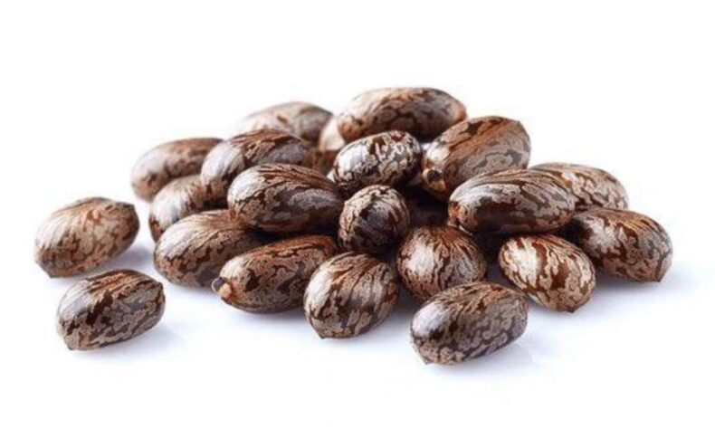 The lethal poison behind the headlines