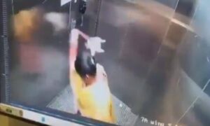 Woman held for killing pet dog in apartment lift in