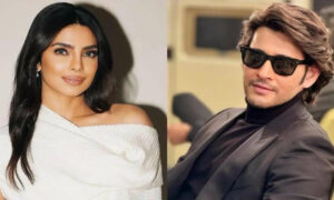 maheshbabuandnpriyankachopra1762080593